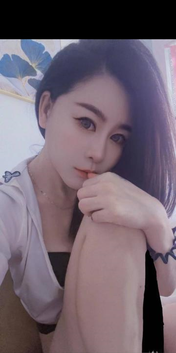 河东阿狸体验