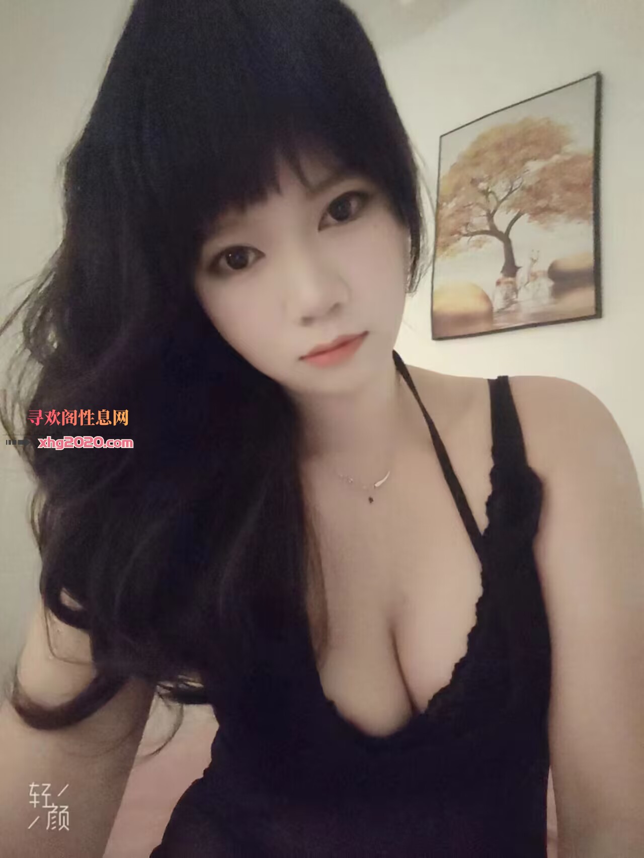 清湖小雪颜值高