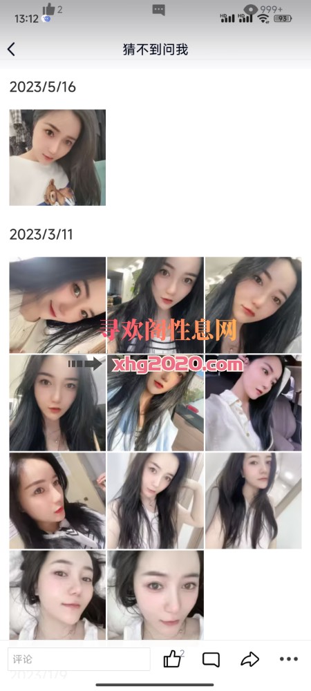 铁西小猫