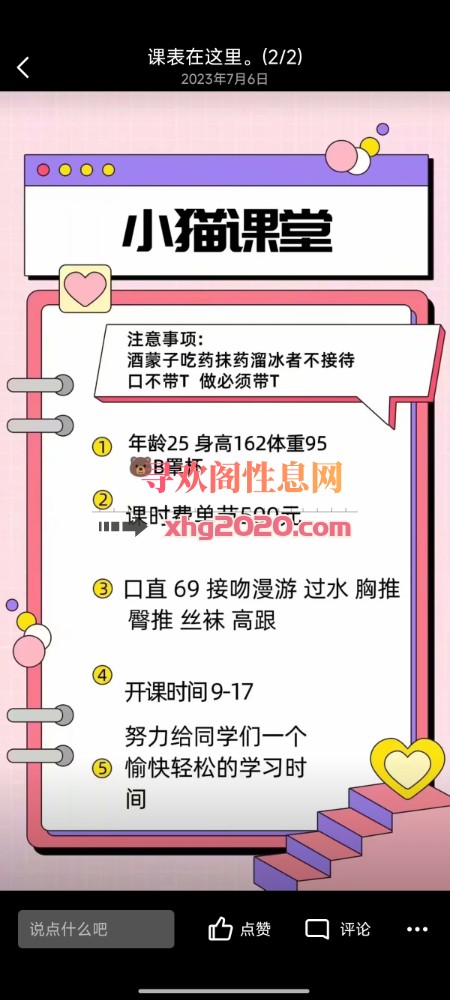 铁西小猫