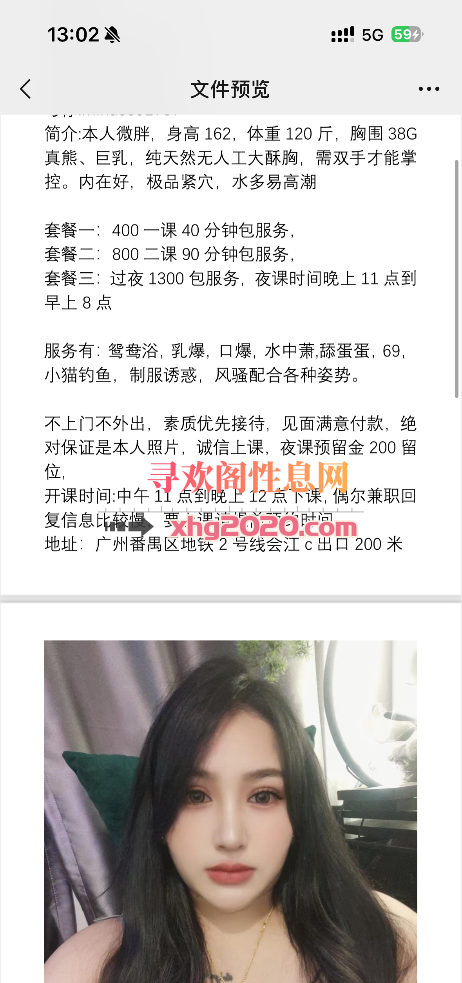 米娜大熊