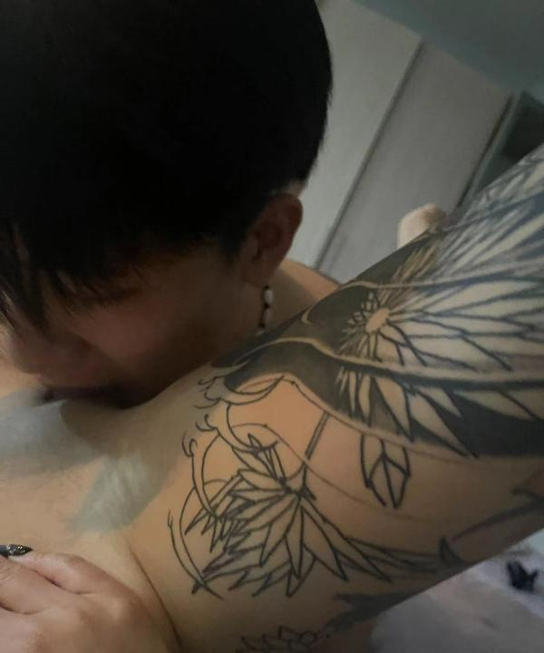 野猫姐姐