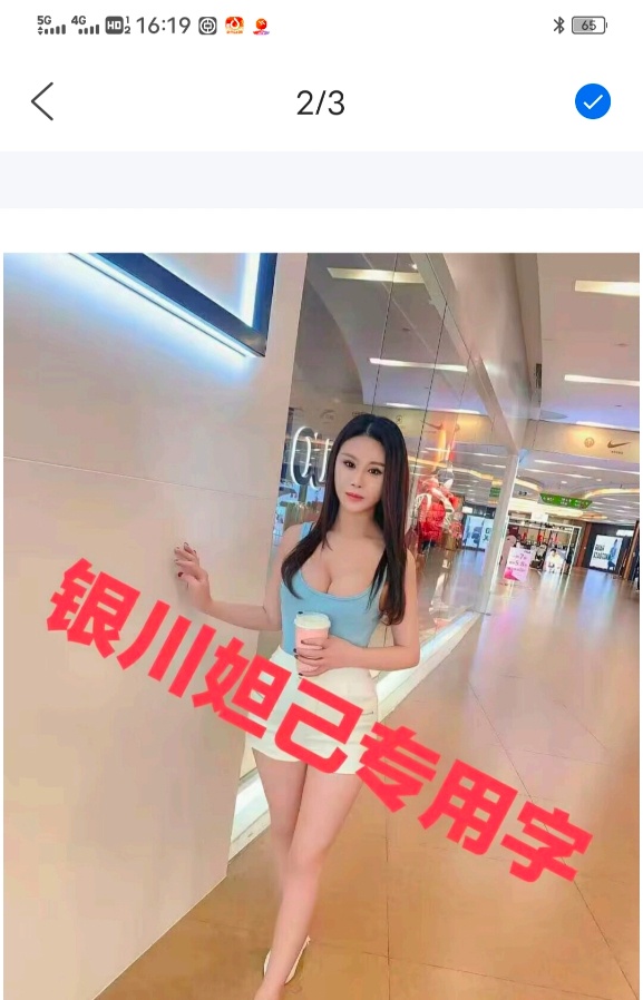 金凤妲己