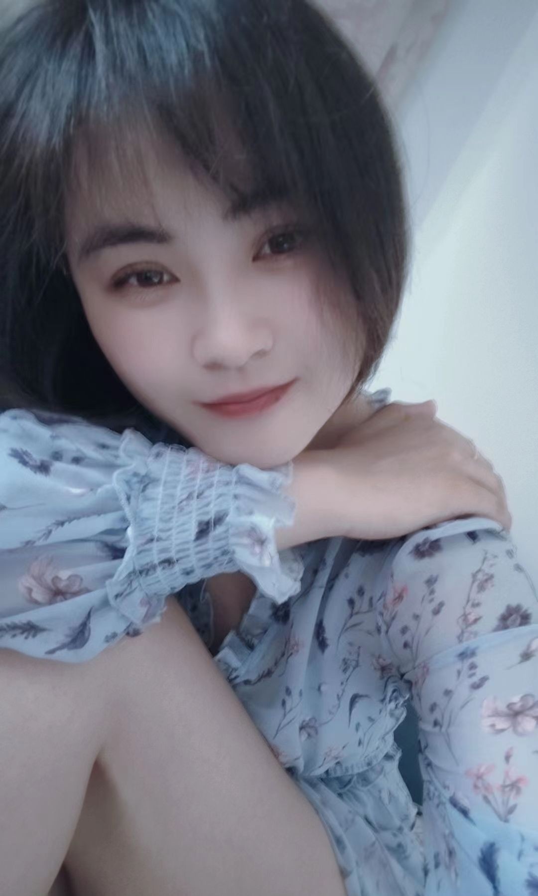 鼓楼含羞草