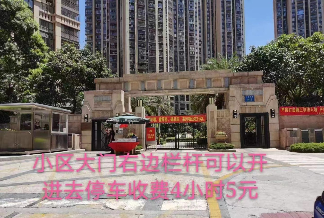 杏林成熟姐姐