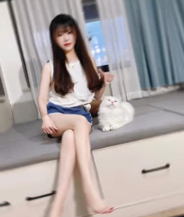 南京江宁小猫