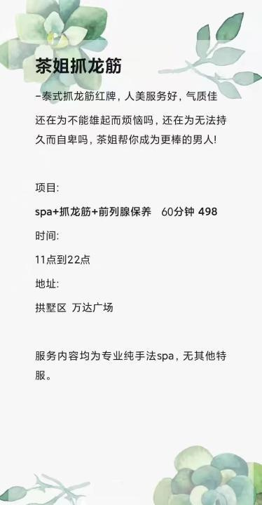 茶姐抓龙筋
