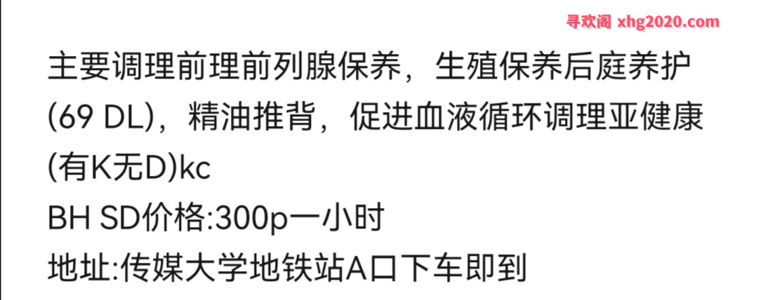 朝阳性价比中项