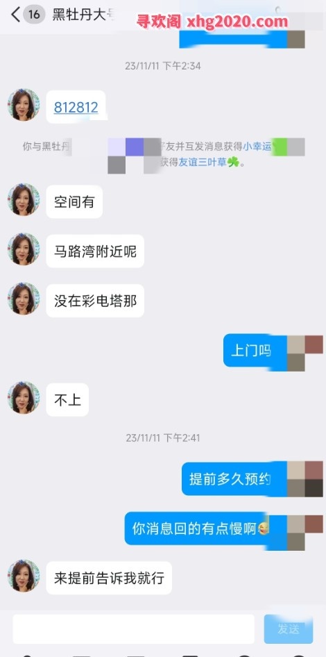 沈阳黑牡丹