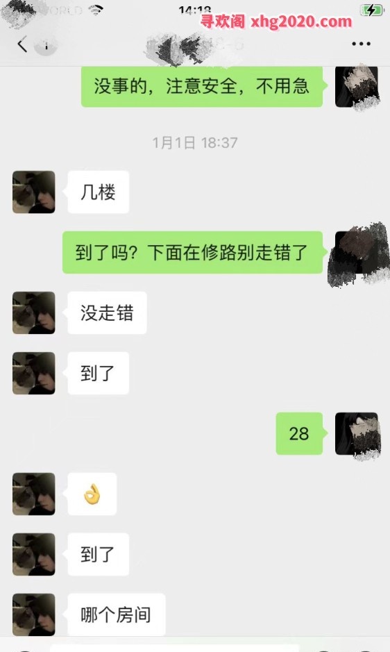 包河d熊