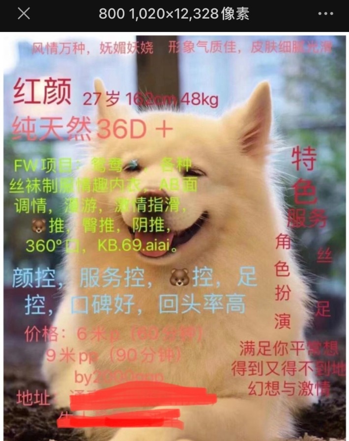 武侯区角色扮演骚货