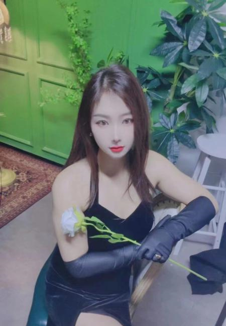 朵朵回归
