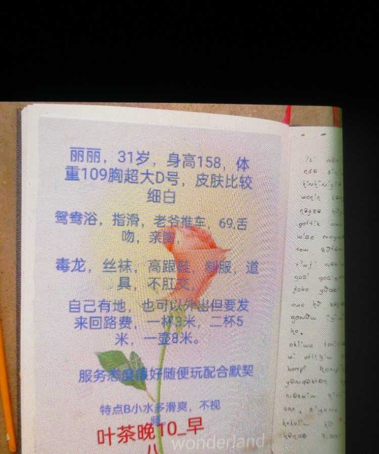 洒金桥少妇