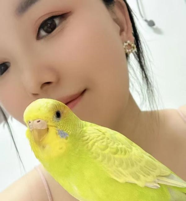 做SZ的小姐姐