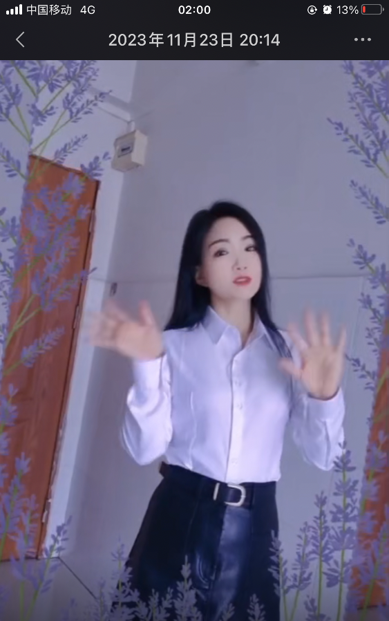 长安摇摇