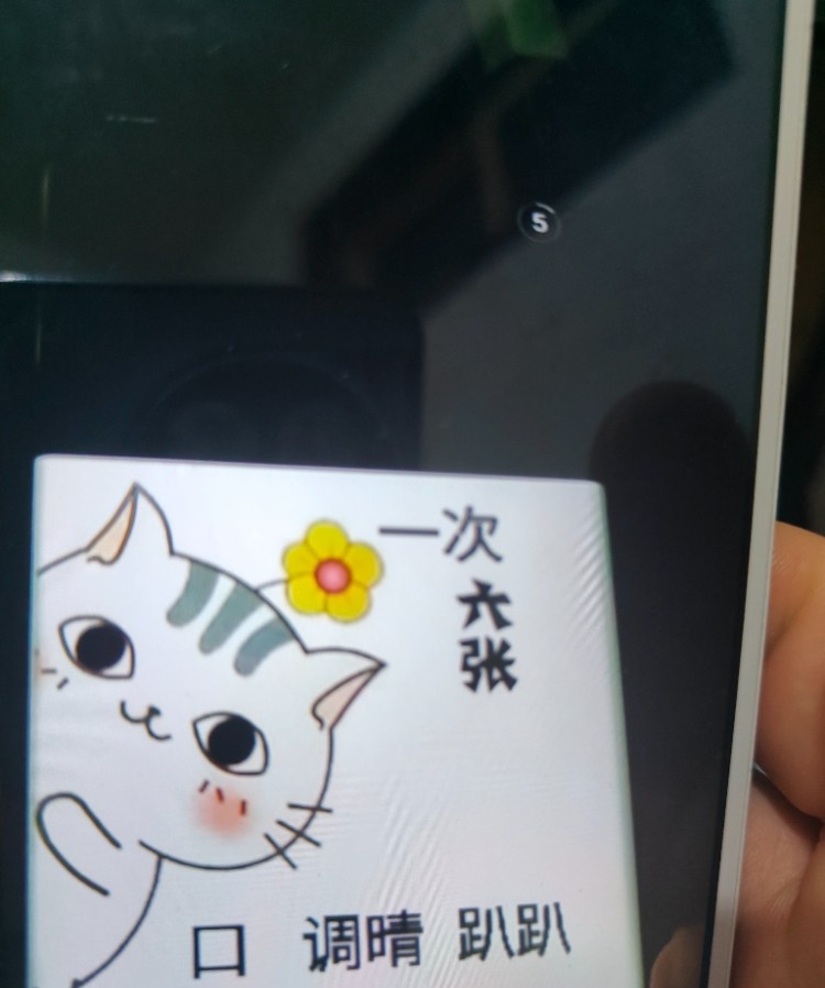石家庄美少奶
