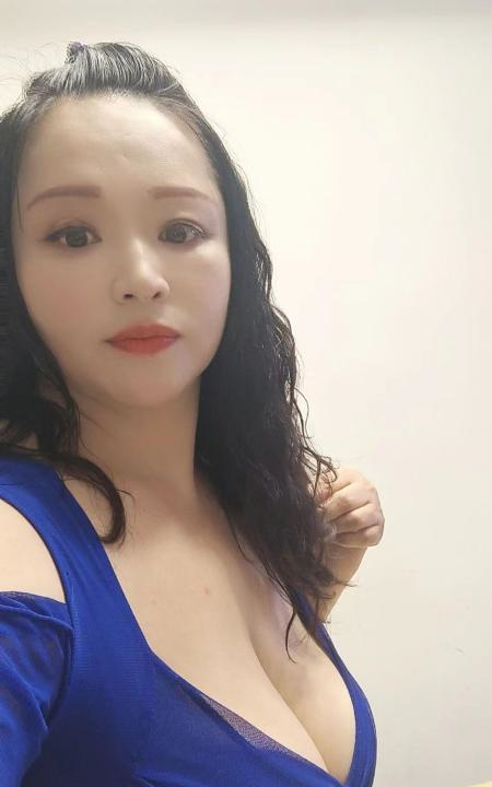 宝安奶牛文文