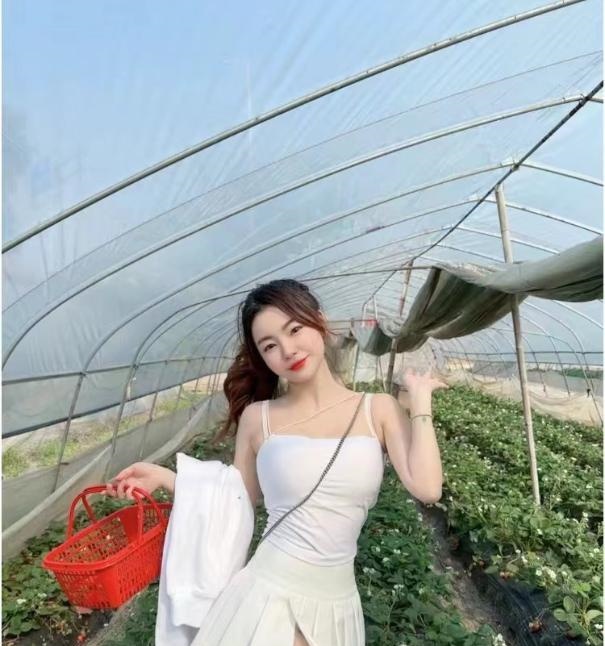 宝安甜蜜蜜
