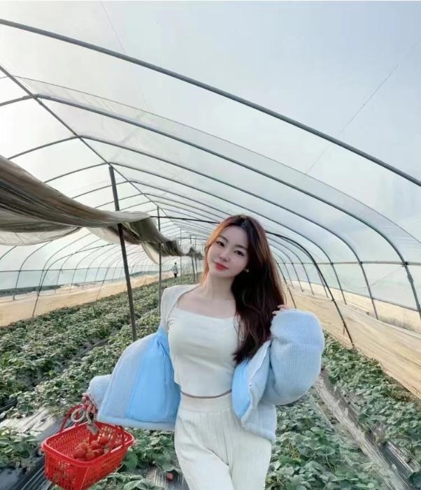 宝安甜蜜蜜