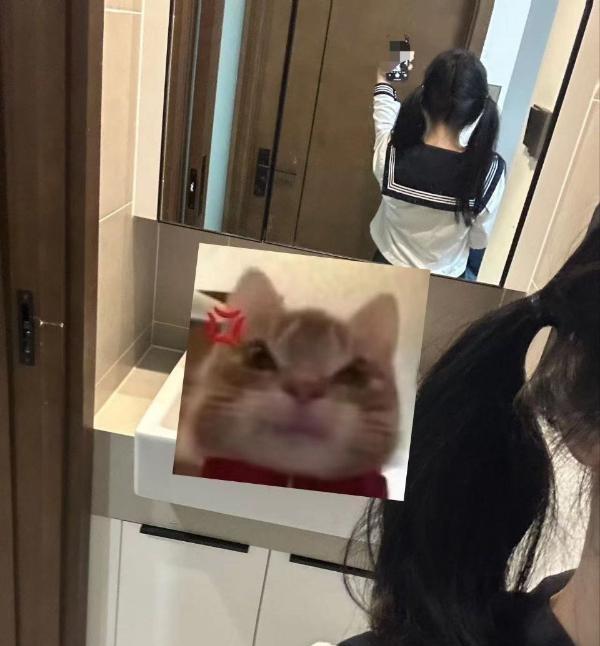 上城区乖巧老师