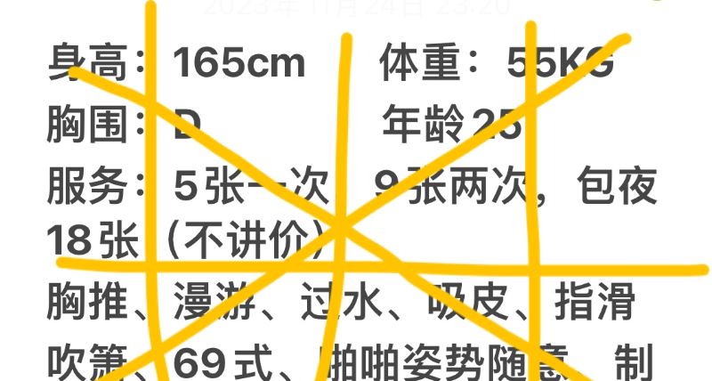 金科仙仙