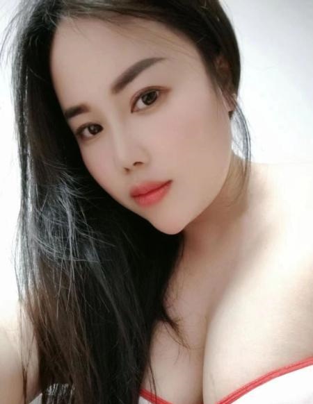 西丽D杯狐狸