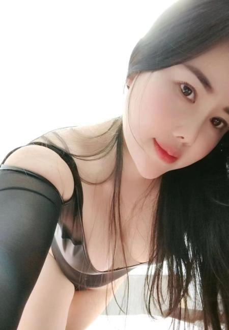 西丽D杯狐狸
