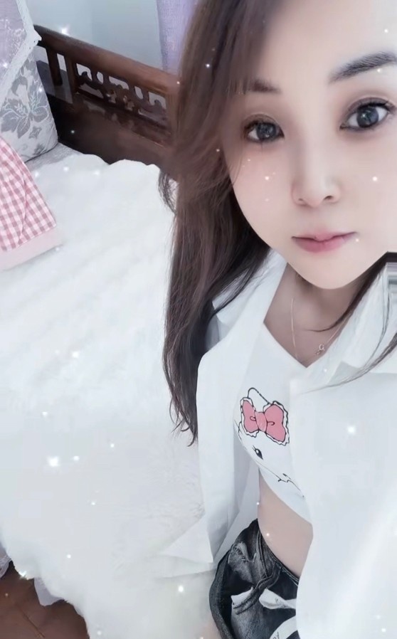 北辰小燕子