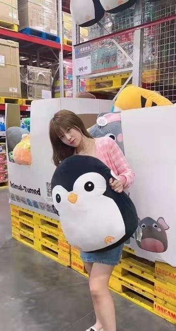 性感御姐