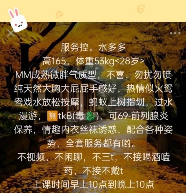 成都大奶子
