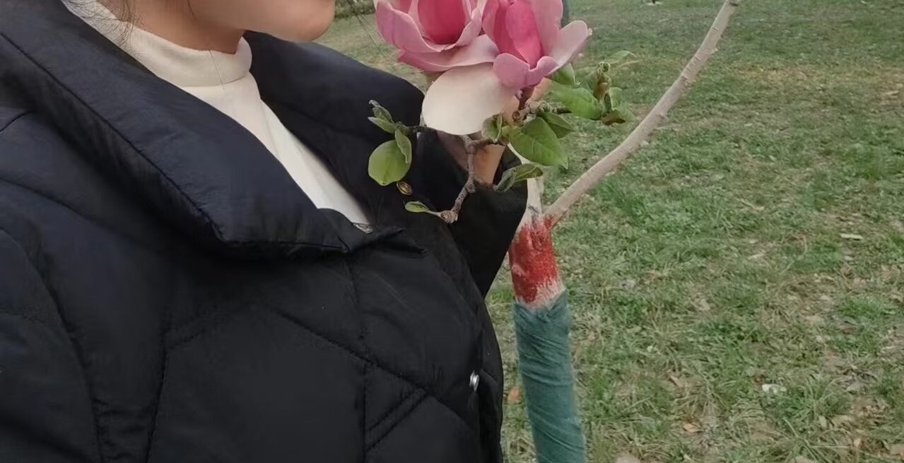 香儿少妇