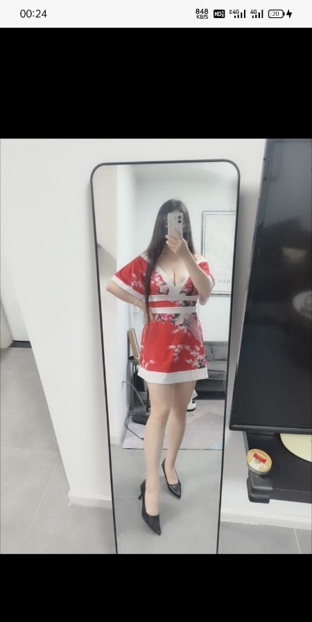 武汉奶兔