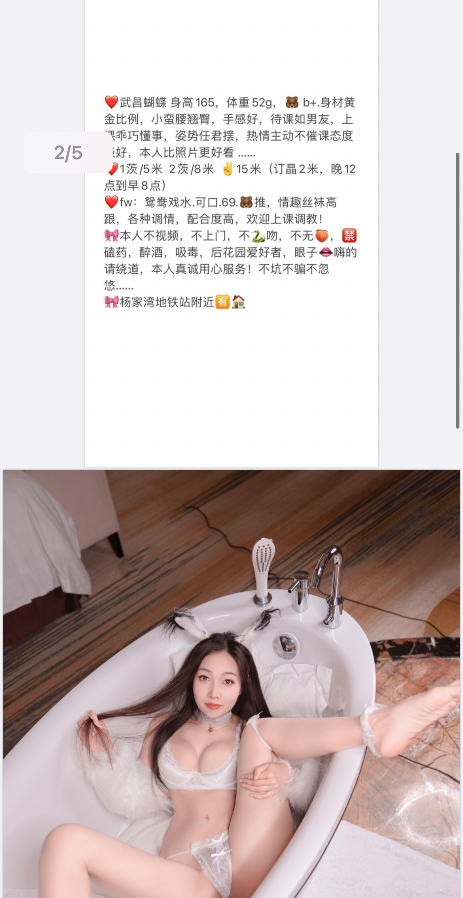 武昌蝴蝶