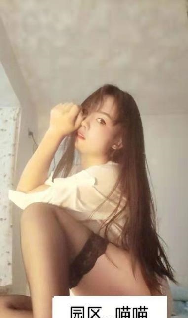 园区小妖精