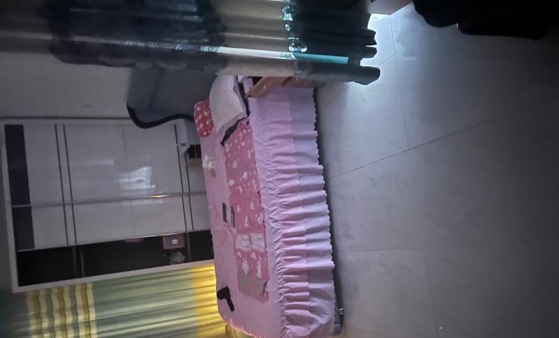 海珠技术派妹子