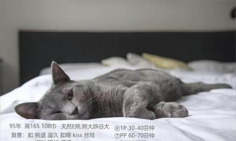 南京浮桥小美