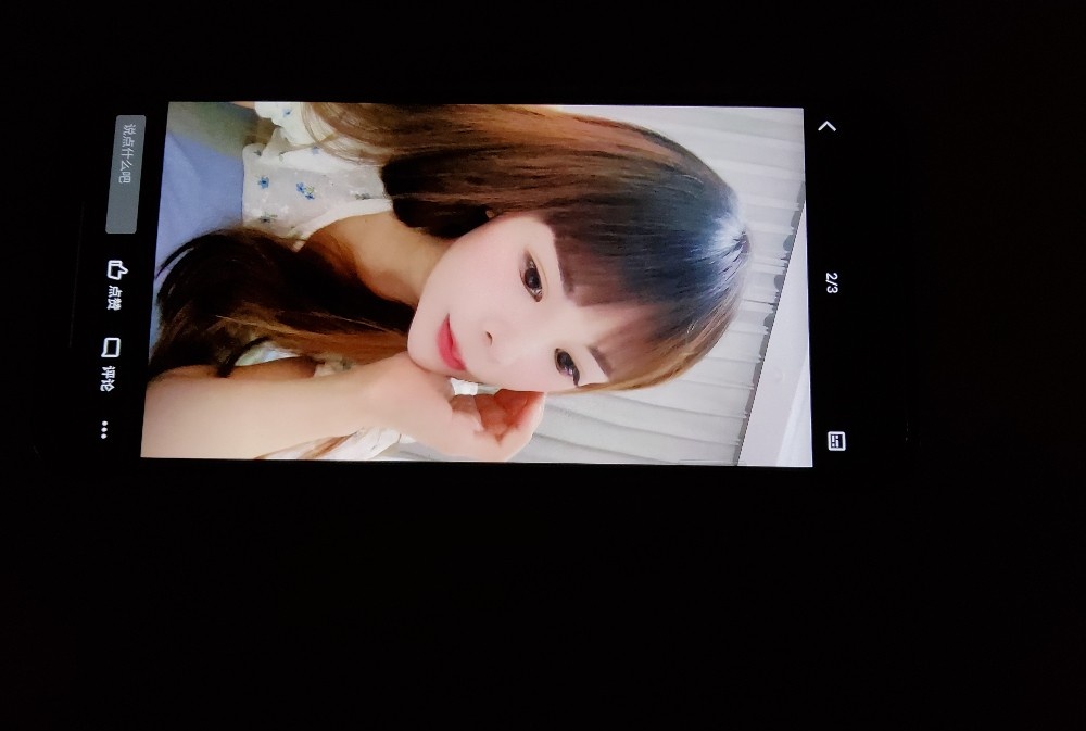 鼓楼海豚