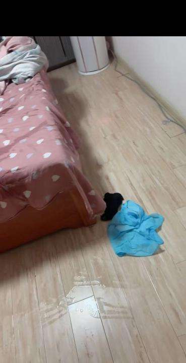 沈阳铁西肥臀喷水妞