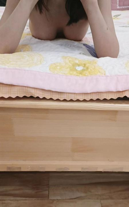 和蔼可亲兔兔