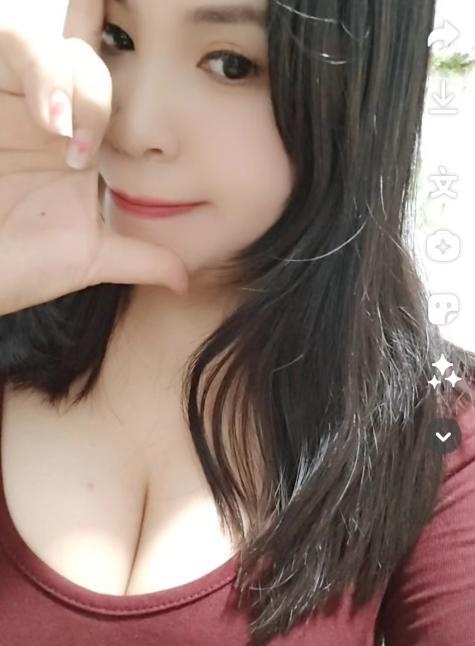 临平奶猫