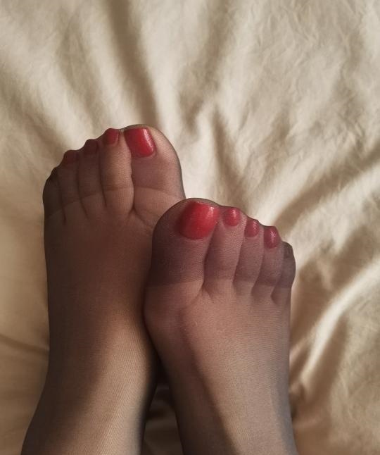 天津红狐女s