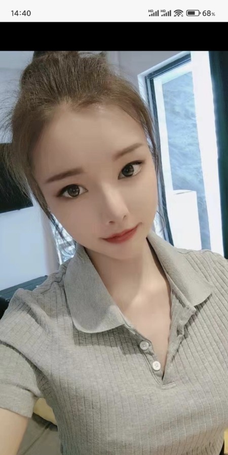南稍门叮叮猫