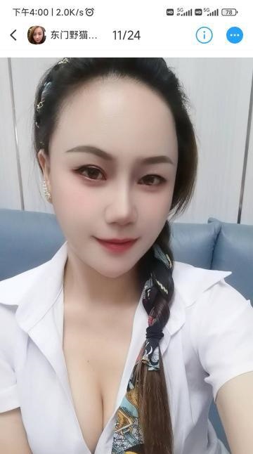 东门野猫