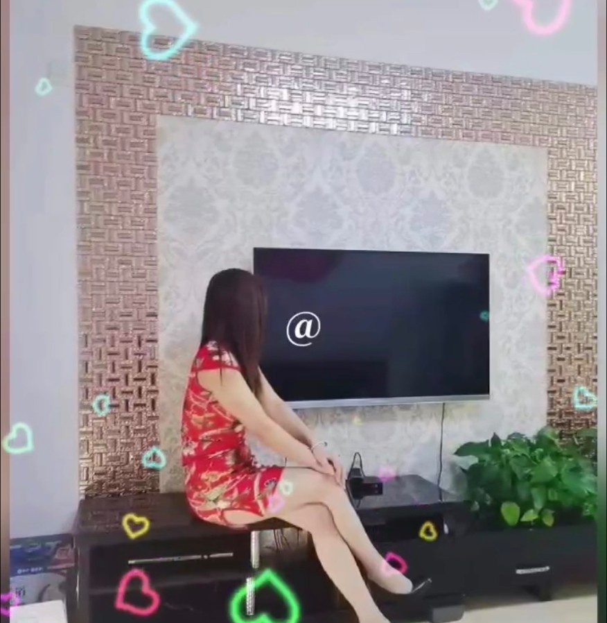 呼市服务好燕子