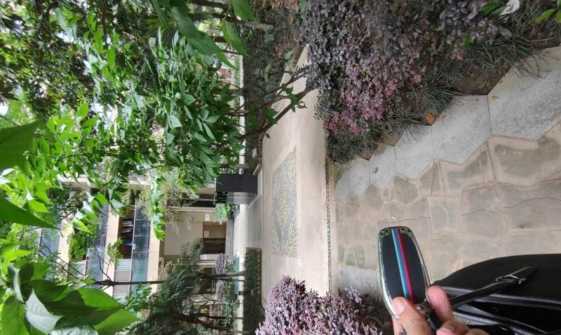 东门骚狐狸精