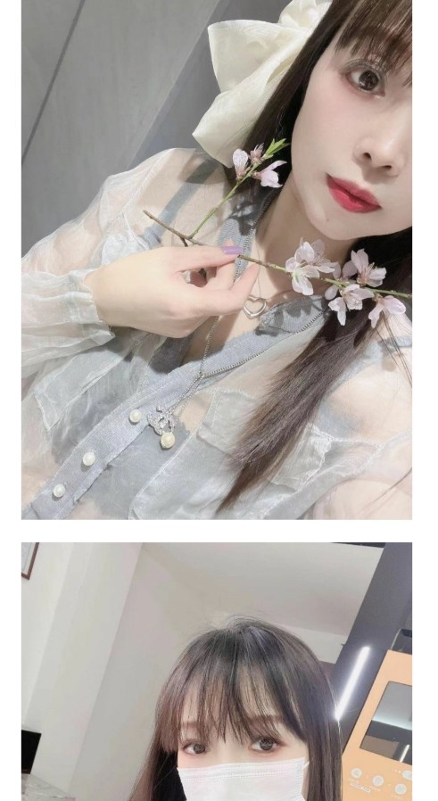 宝山性价比中项