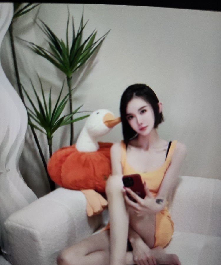 庐阳飘飘