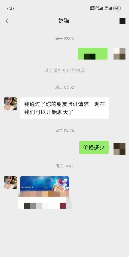 合肥奶猫