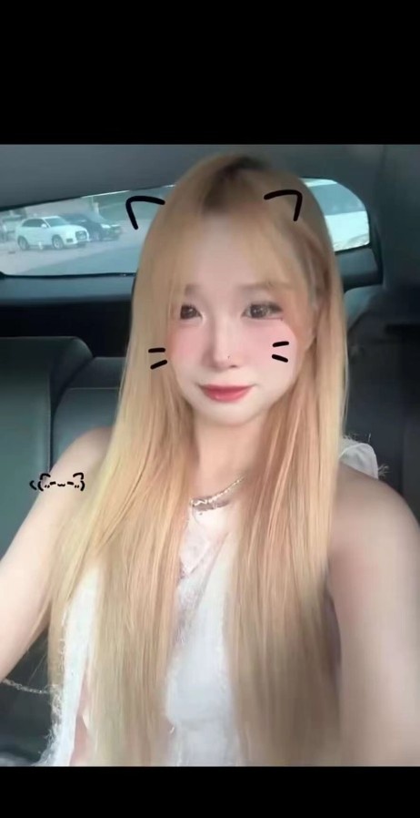 合肥奶猫