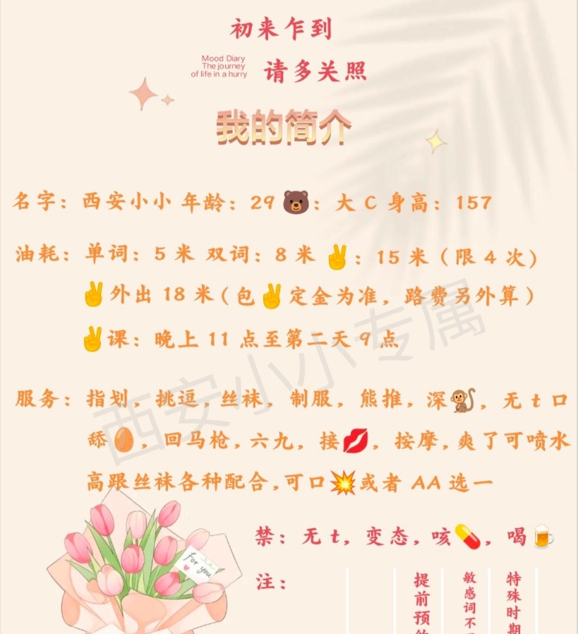 小小 新号
